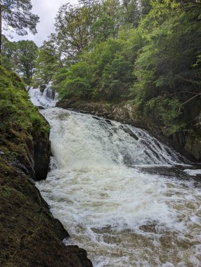 Yoğun yeşil ormanlarla çevrili kayalık araziden şelale gibi dökülüyor. Huzurlu ve güçlü doğal bir sahne doğa ve açık hava temaları için mükemmel..