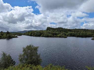 Yoğun ormanlarla çevrili huzurlu göl manzarası bulutlu bir gökyüzünün altında huzur ve doğal güzellikleri aktarıyor..