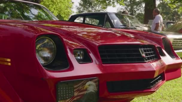 Mississippi Deki Farm Klasik Araba Fuarı Cruisin Cotesworth Antik Araba — Stok video