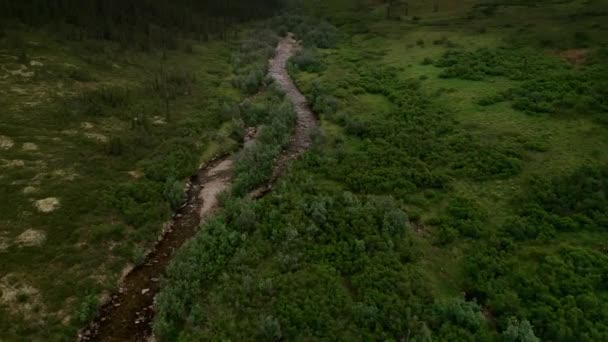 Vue Aérienne Mont Prindle Alaska Images Haute Qualité — Video