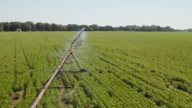 Sulama Sulama Suyu Tarlası. Yüksek kalite 4k görüntü