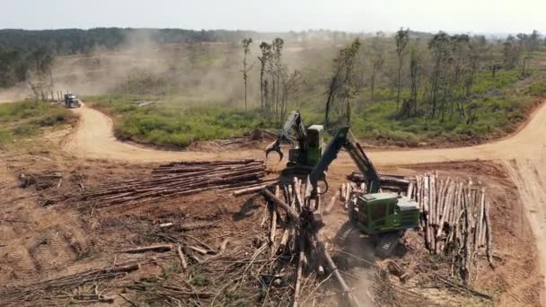 Odlesňování Logging Operation Aerial View Vysoce Kvalitní Záběry — Stock video