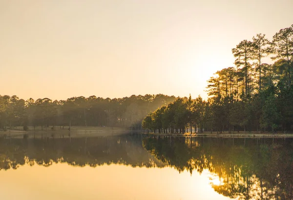 Mississippi 'de Çam Ağaçlarının Arkasında Günbatımı' nın yansıması var. Yüksek kalite fotoğraf