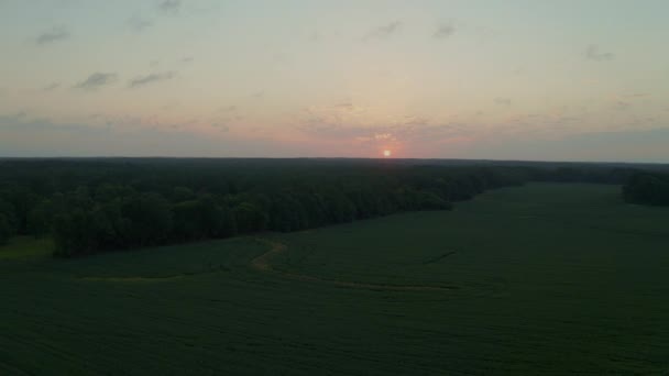 Luftaufnahme Des Sonnenaufgangs Über Feldfrüchten Mississippi Delta Hochwertiges Filmmaterial — Stockvideo