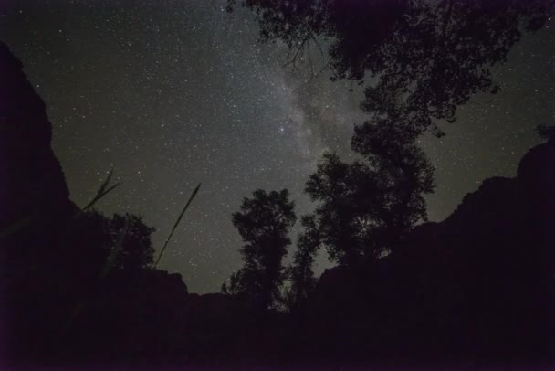 Timelapse Milky Way Bottom Grand Canyon Inglés Imágenes Fullhd Alta — Vídeo de stock