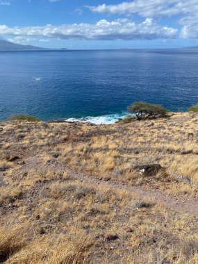 Ocean Overlook from Island Cliff
