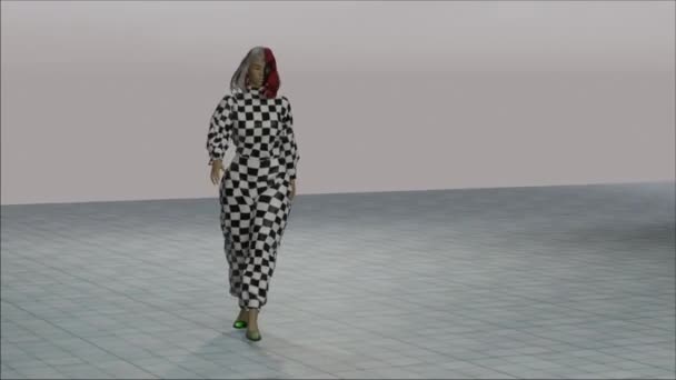 Two Faced Fictional Women Doing Some Fashion Walk Some Fictional — Stockvideo