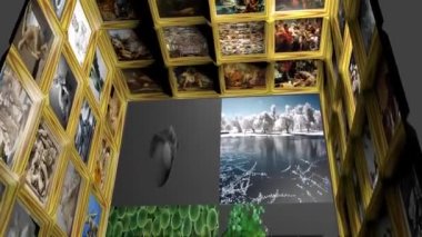 This is some kind of a simulation of a museum exhibition. In the front of the viewer, exhibits are changing/replacing themself in real time.