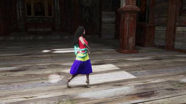 Fictional Fashion Show Model Wears Multicolored Dress Some Sash — ストック動画