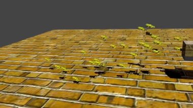 Some frogs are coming out from mysterious cubelike source.