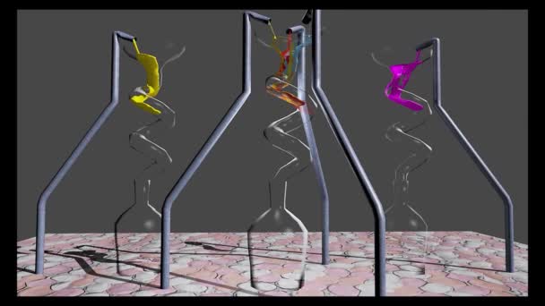 Simulation Plusieurs Fluides Circulant Travers Trois Tubes Verre Dans Tube — Video