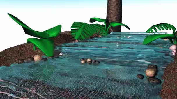 Simulation Water Flow Some Nature — ストック動画