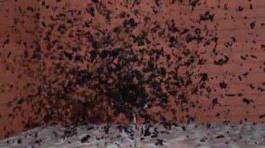 Some particles converge to form some object.