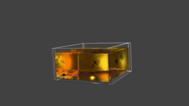 Bird is rising from some fluid and after short flight disappearing again into it.