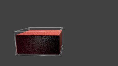 From some fluid bird is rising. After some short flight it disappear. 