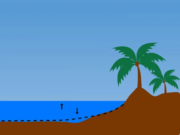 Palmiye ağaçları ve deniz manzaralı sahil manzarası