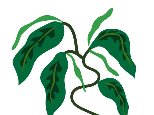 Ilustração Folha Verde Vetorial — Fotografia de Stock