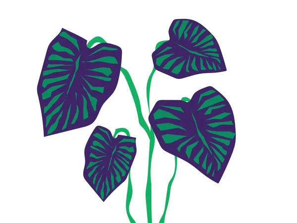 Tropikal palmiye yaprağı simgesi, basit biçim 