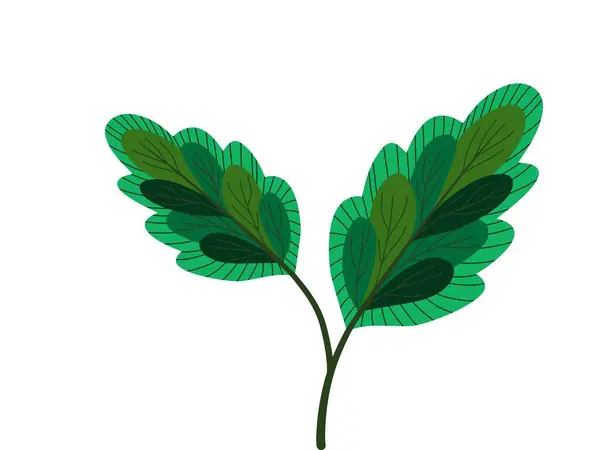 Beyaz arka planda güzel yeşil tropikal yapraklar 