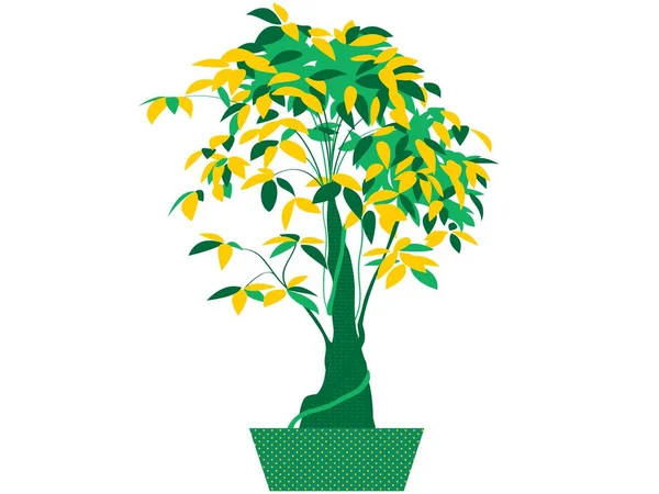 Arkaplanda izole edilmiş ağaç resimleme sanatı 