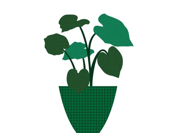 Yeşil arkaplanı olan bir bitkinin vektör çizimi 