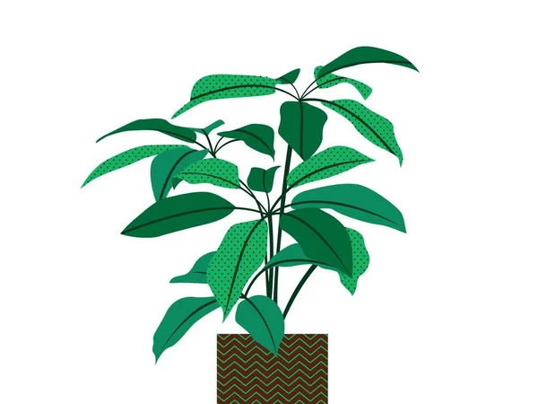 Beyaz Arka Planda Izole Edilmiş Bir Tencerede Yeşil Bitki Vektör — Stok fotoğraf