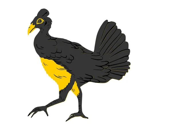 Ave Presa Ilustración Vectorial Negro Amarillo Verde Negro Blanco Pájaro —  Fotos de Stock