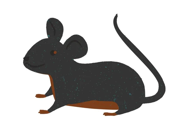 Cartoon Mouse Preto Isolado Fundo Branco — Fotografia de Stock