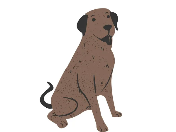 Hund Vektorillustration Hund Haustier Tier — Stockfoto