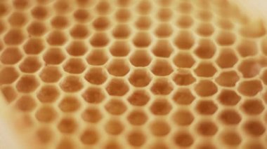 Healthy organic honey in a plate with wooden honey dipper top view on black background. Sweet honey healthy dessert Close up