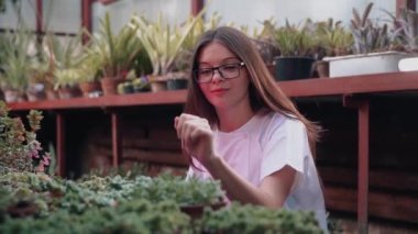 Woman biologist examines the growth and production of plants in a greenhouse. Biologist working on the creation of medicines for diseases.Biology concept