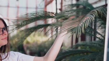 Woman biologist examines the growth and production of plants in a greenhouse. Biologist working on the creation of medicines for diseases.Biology concept