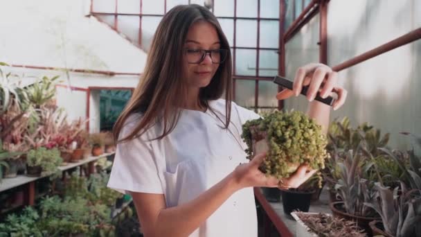 Woman Biologist Examines Growth Production Plants Greenhouse Biologist Working Creation — Vídeo de Stock