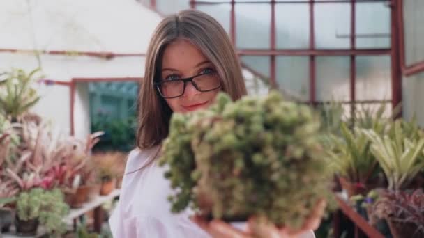Woman Biologist Examines Growth Production Plants Greenhouse Biologist Working Creation — Stok video