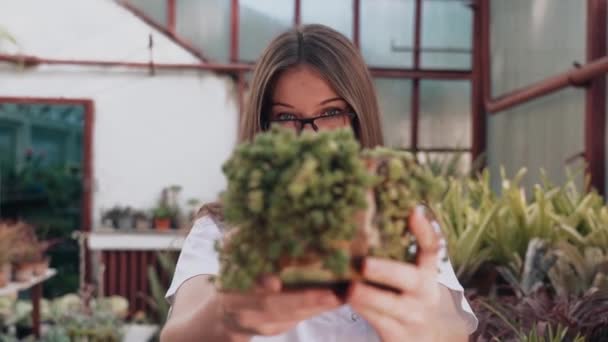 Woman Biologist Examines Growth Production Plants Greenhouse Biologist Working Creation — Stok Video