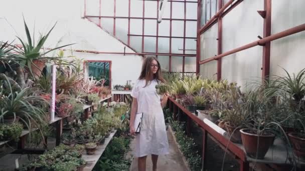 Woman Biologist Examines Growth Production Plants Greenhouse Biologist Working Creation — Αρχείο Βίντεο