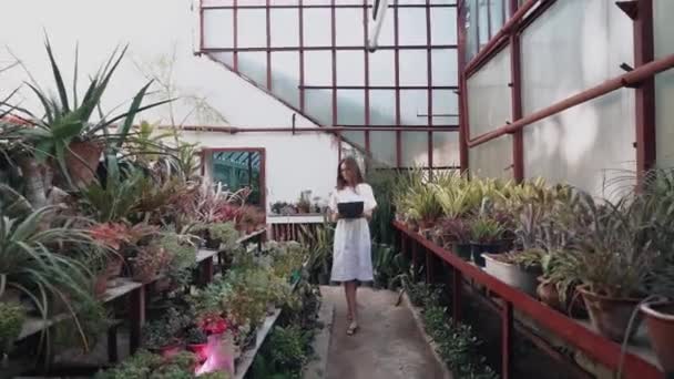 Woman Biologist Examines Growth Production Plants Greenhouse Biologist Working Creation — стоковое видео