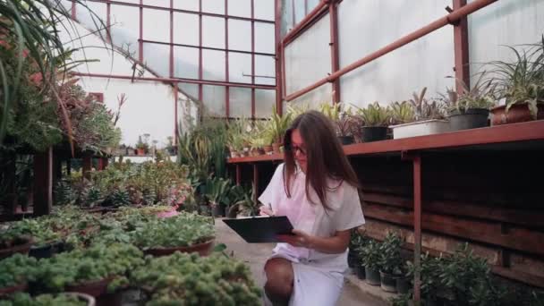 女性生物学者は温室内の植物の成長と生産を調べます 疾患用医薬品の創製に取り組む生物学者生物学的概念 — ストック動画