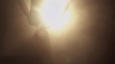 Young woman performs the acrobatic elements in the air hoop. Aerialist in on black background dark studio with backlight. For sports, acrobatic, circus school.