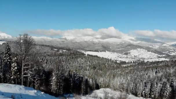 Slunečný Den Sněhu Pokryl Karpatské Hory Mraky Nad Jasnou Oblohou — Stock video