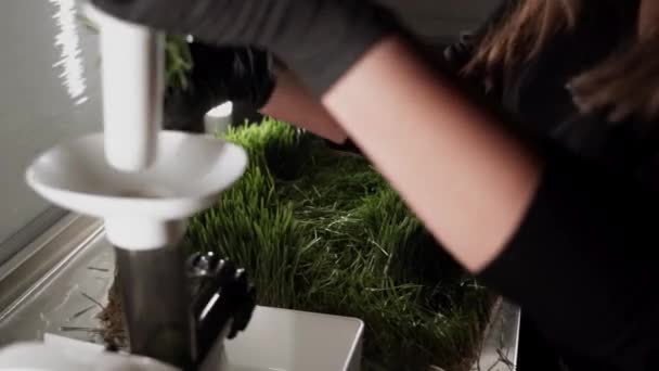 女性労働者はハーブの小さな工場で働き 緑のデトックスジュースの生産4K — ストック動画