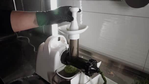 该女工在一个小型草本植物中工作 生产绿色脱毒果汁4K — 图库视频影像