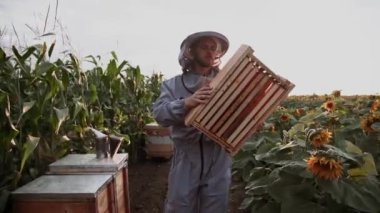 Genç arıcılar arılarla çalışır ve bal yerler.