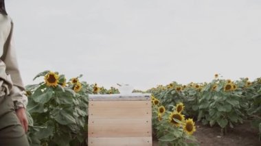 Genç arıcılar arılarla çalışır ve bal yerler.