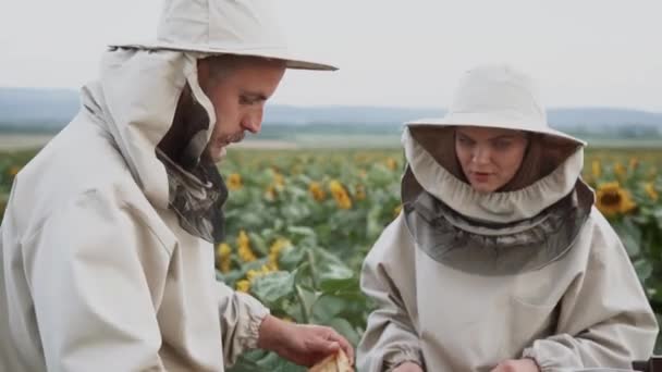 Молодые Пчеловоды Работают Пчелами Пасеке Едят Мед — стоковое видео