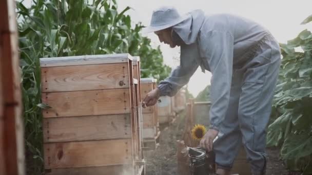 Young Beekeepers Work Bees Apiary Eat Honey — Stock Video