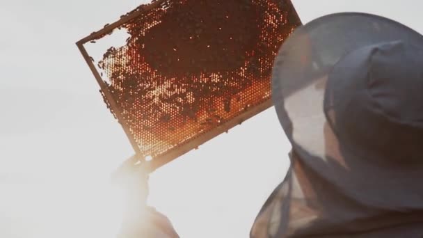 Fiatal Méhészek Méhekkel Dolgoznak Méhészetben Mézet Esznek — Stock videók