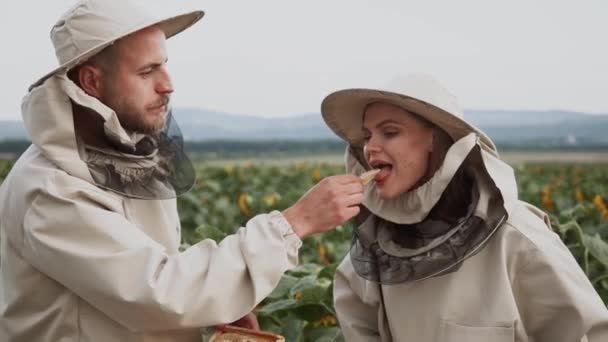 Młodzi Pszczelarze Pracują Pszczołami Pasiece Jedzą Miód — Wideo stockowe