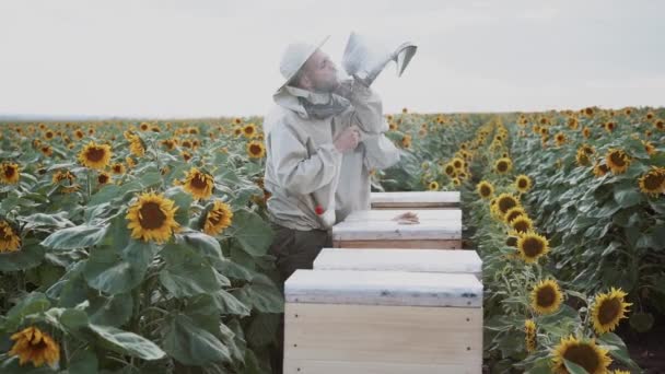 Молоді Бджолярі Працюють Бджолами Пасіці Їдять Мед — стокове відео