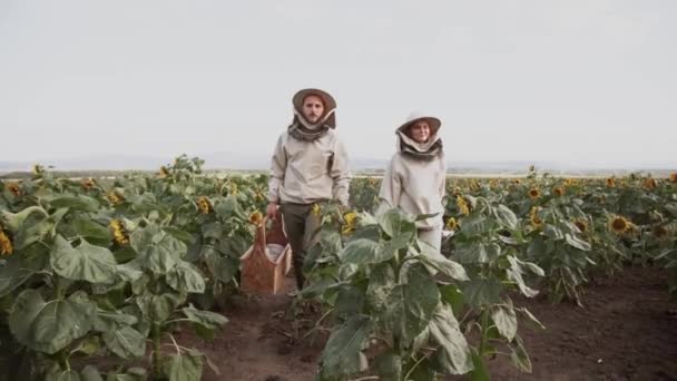 Jonge Imkers Werken Met Bijen Bijenstal Eten Honing — Stockvideo